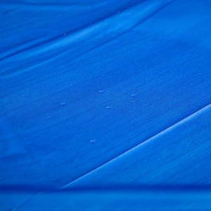 Tovaglia PEVA degradabile per l'uso quotidiano di matrimoni e feste